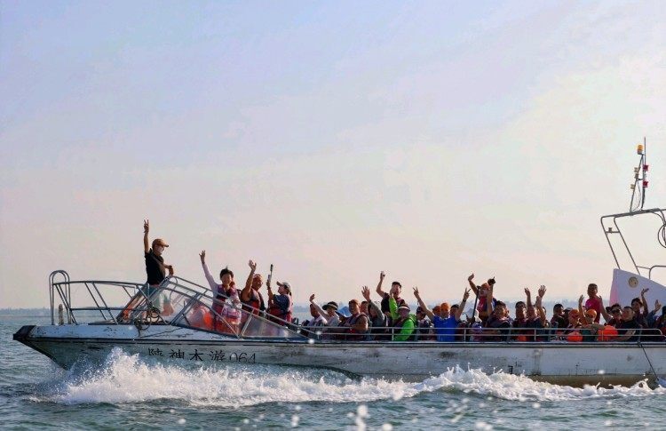 保障, 织的湿地景, 取得了让我 保障, 织的湿地景, 取得了让我