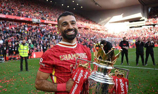 image, 的品牌形象